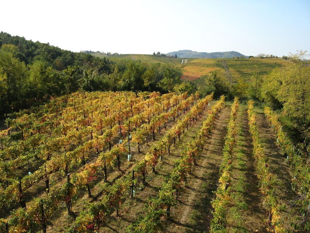Bosco Romagno Villa Cividale Del Friuli Luaran gambar